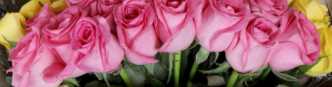Rakhi Flowers & Gifts Rakhi Flowers & Gifts