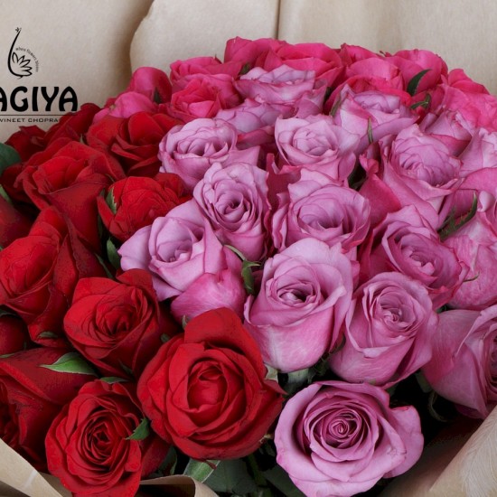 50 PURPLE PINK RED ROSES BUNCH 50 PURPLE PINK RED ROSES BUNCH