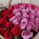 50 PURPLE PINK RED ROSES BUNCH 50 PURPLE PINK RED ROSES BUNCH