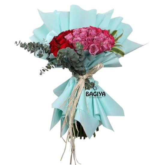 60 PINK PURPLE RED ROSES BUNCH 60 PINK PURPLE RED ROSES BUNCH