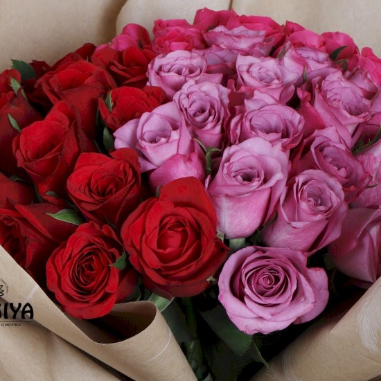 60 PINK PURPLE RED ROSES BUNCH 60 PINK PURPLE RED ROSES BUNCH